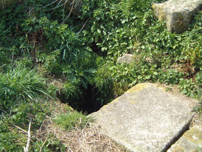 Tregaminion Holy Well