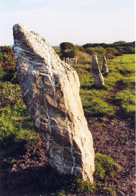 Click for the gallery page to add comments and vote (PID:15806) Nine Maidens Stone Row