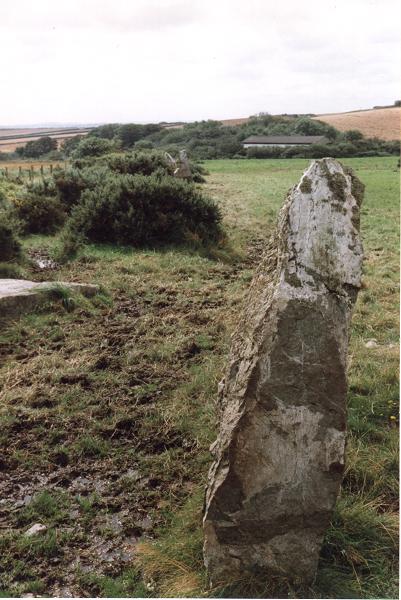 Click for the gallery page to add comments and vote (PID:3501) Nine Maidens Stone Row