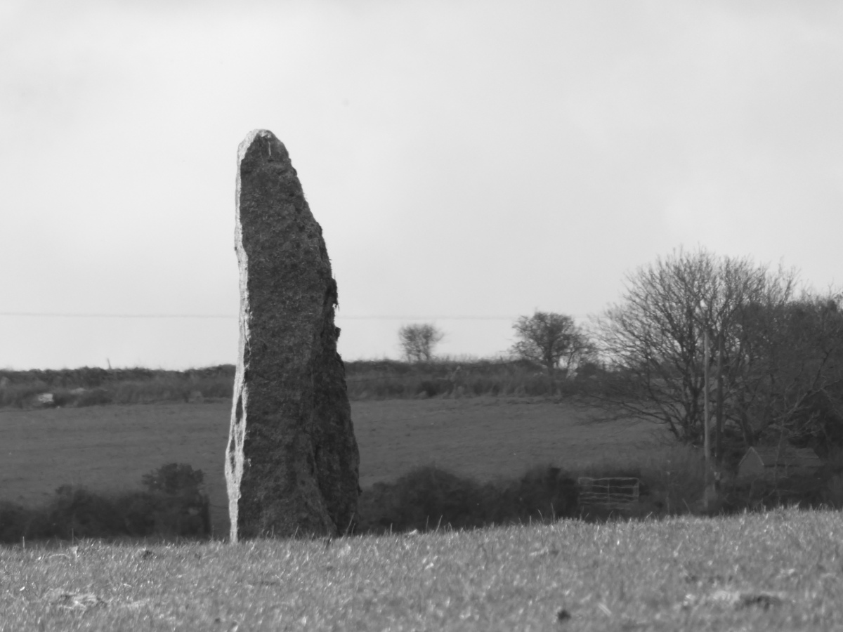 Click for the gallery page to add comments and vote (PID:224471) Mt Wise Farm