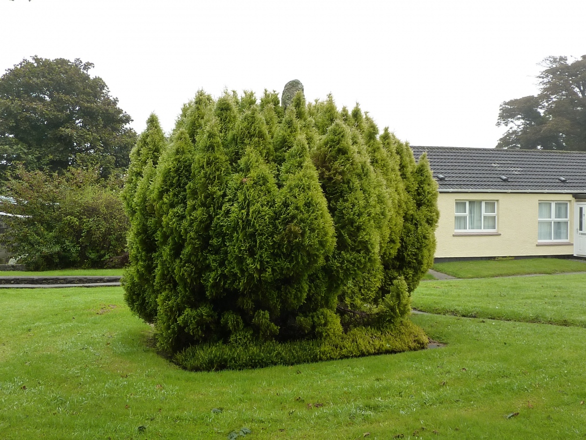 Menevegar Menhir