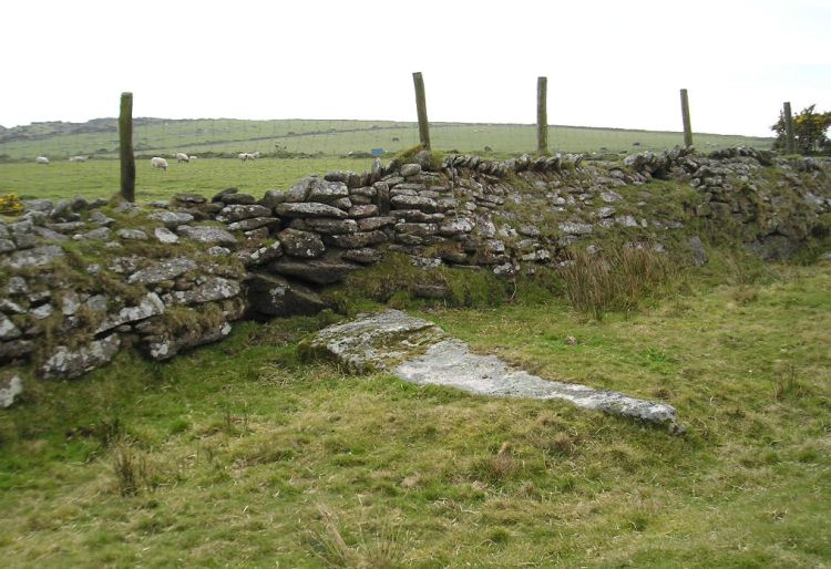 Click for the gallery page to add comments and vote (PID:12696) Emblance Down stone row