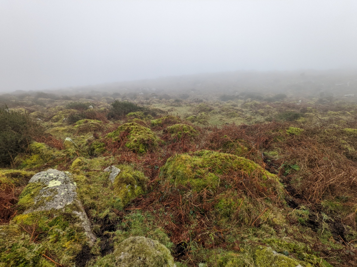 Click for the gallery page to add comments and vote (PID:236998) Hannibal's carn