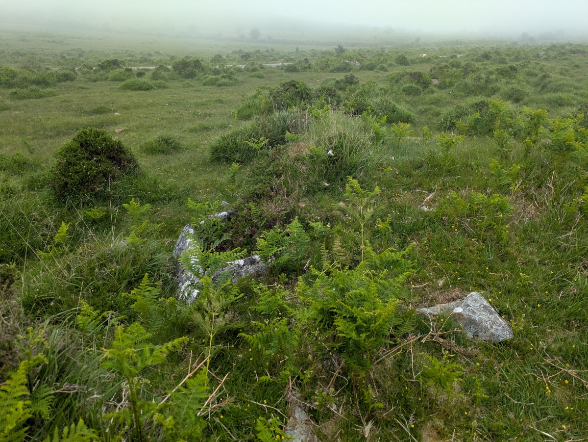 Click for full size image of Twelve men's moor cairn and cist (PID:307055) Twelve men's moor cairn and cist