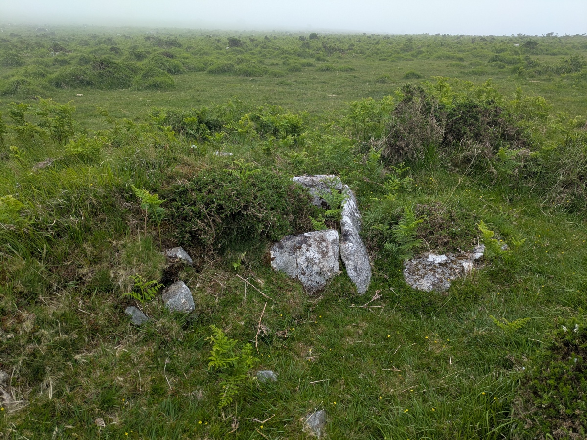 Click for full size image of Twelve men's moor cairn and cist (PID:307058) Twelve men's moor cairn and cist