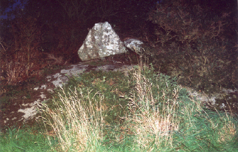 These are the intriguing stones in the hedge near to the NE Piper stone that caught my eye last September.    
Are they just field clearance, or something more important? (Note also the large flat stone near the Piper pillar.)
I was there rather late, and it was getting too dark to investigate more fully.