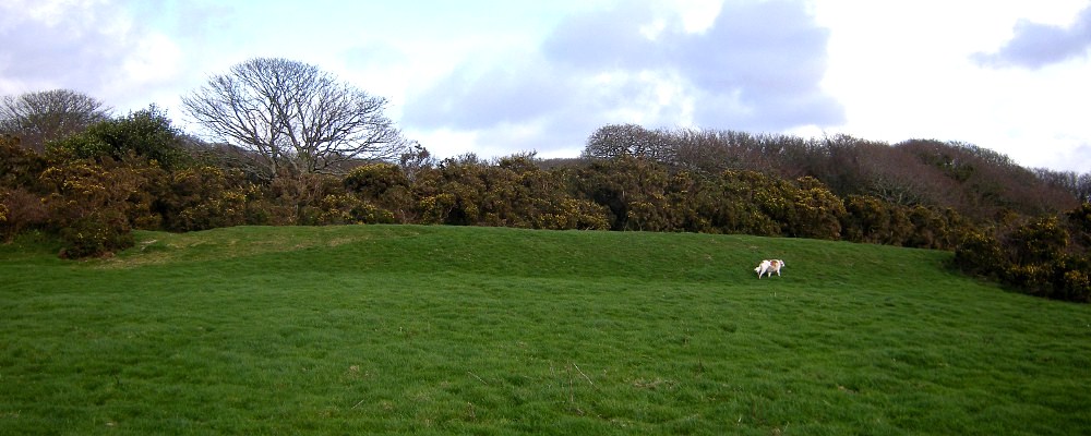 Prideaux Camp