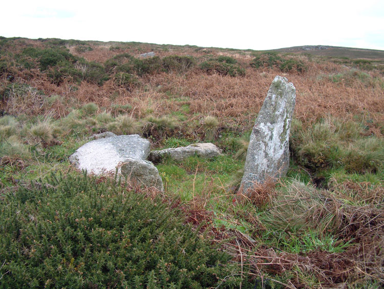 Sperris Quoit