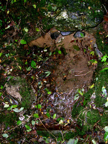 Click for the gallery page to add comments and vote (PID:20506) St Gwithian's Holy Well