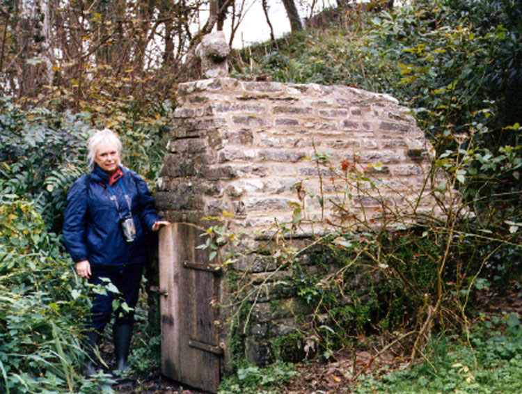 Click for the gallery page to add comments and vote (PID:9716) St John's Well (Morwenstow)