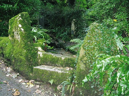 St Keyne's Well