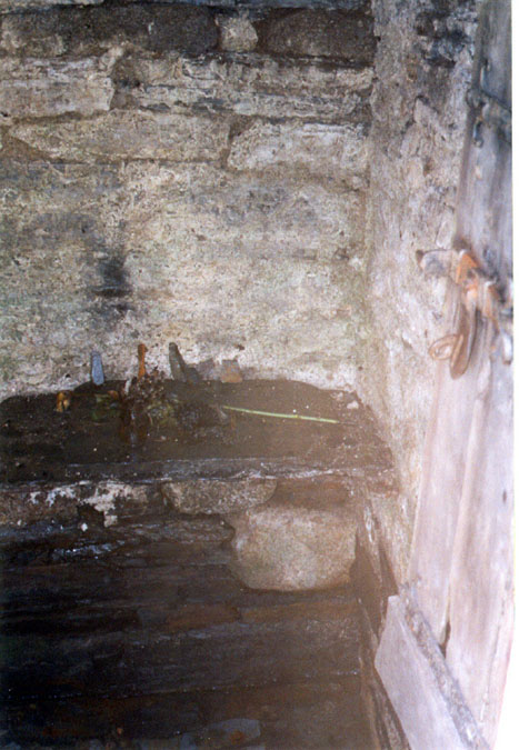 Click for the gallery page to add comments and vote (PID:9961) St Neot's Well (St Neot)