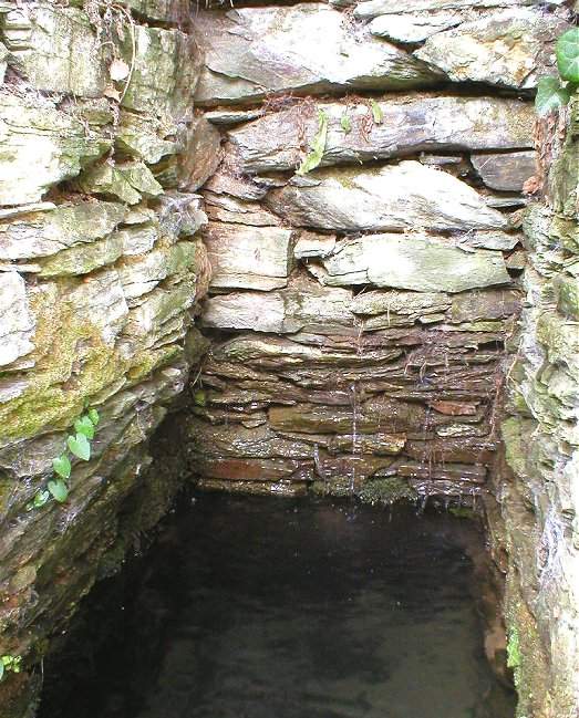 Click for the gallery page to add comments and vote (PID:8741) St Clement's Well