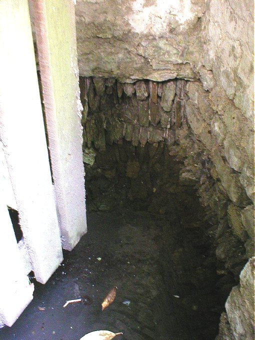 Click for the gallery page to add comments and vote (PID:7866) St Domnu's Well