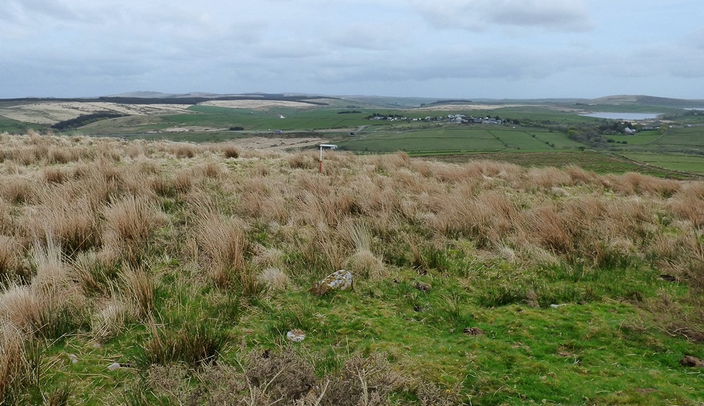 Tolborough Tor stone row
