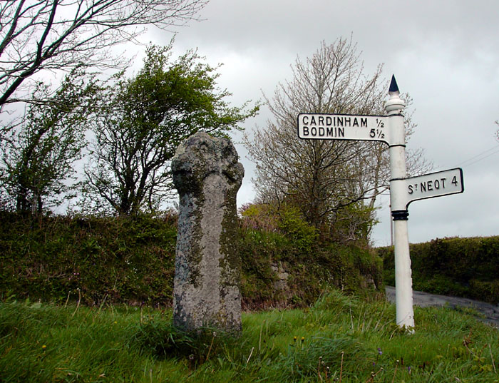 Click for the gallery page to add comments and vote (PID:10459) Treslea Cross