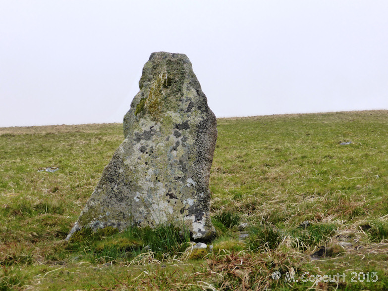 Click for the gallery page to add comments and vote (PID:134407) Showery Tor North Standing Stone