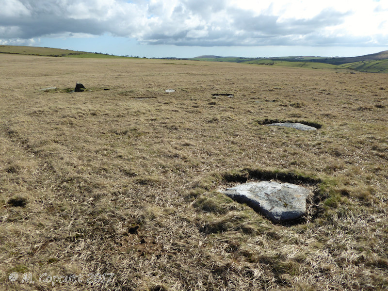 The southwestern half of the northern Leskernick stone circle. I saw that the circle has been beautifully cleared, now showing many more stones than there were to be seen before. 