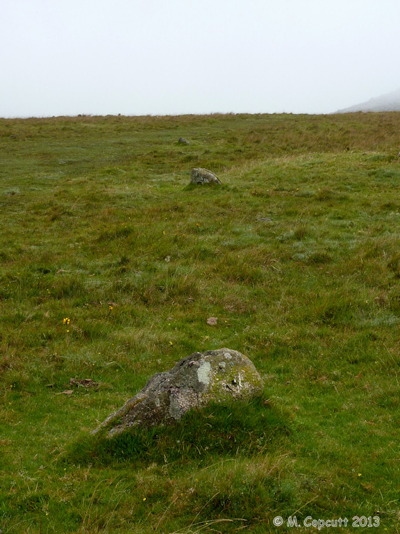 The Hurlers Avenue