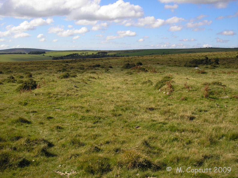 The avenue is about 60 metres long, with its two parallel banks separated by a flat area about 4 metres wide, making up a total width of between 8 and 10 metres across. 