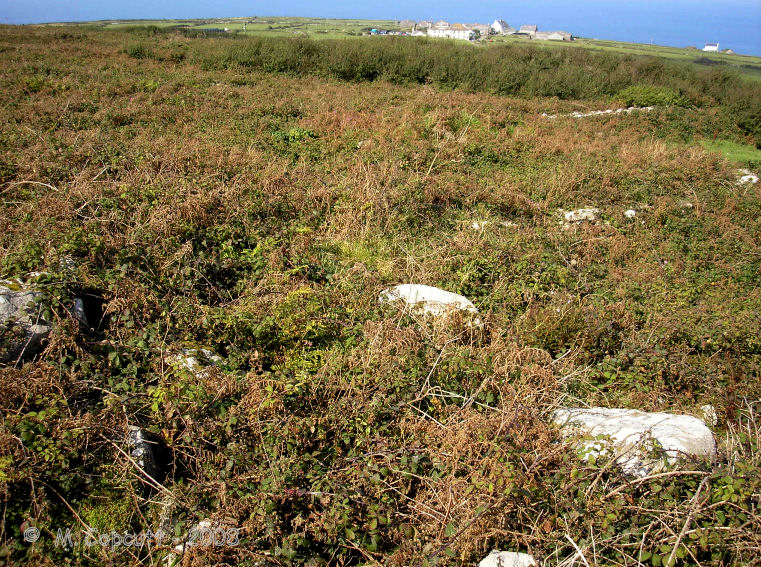 Click for the gallery page to add comments and vote (PID:43282) Treen Entrance Grave (NW)