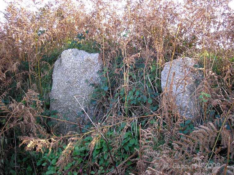 Tregeseal C