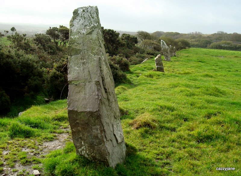 Nine Maidens stone row. Well worth the rather scary walk along the main road to get to the style at the bottom of its field!