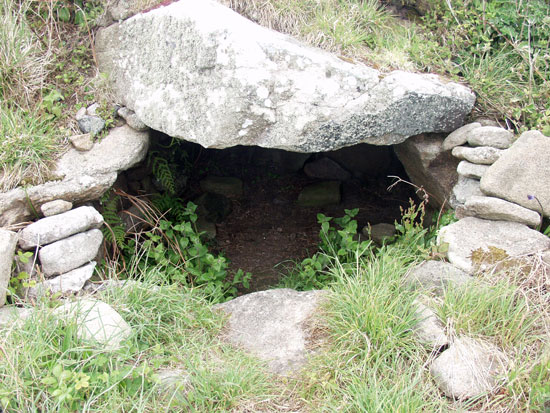 Click for the gallery page to add comments and vote (PID:8844) Lower Boscaswell Fougou