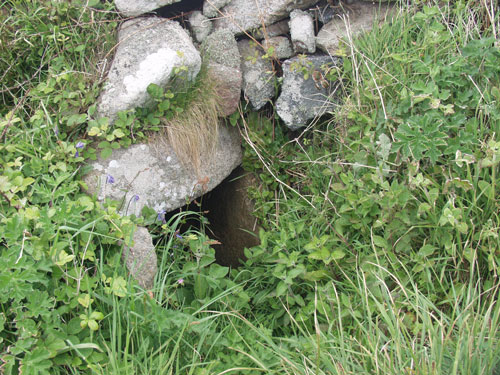 Click for the gallery page to add comments and vote (PID:8843) Lower Boscaswell Fougou