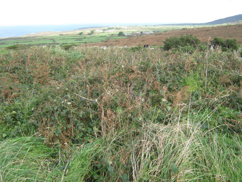 Click for the gallery page to add comments and vote (PID:114691) Treen Entrance Grave (NW)