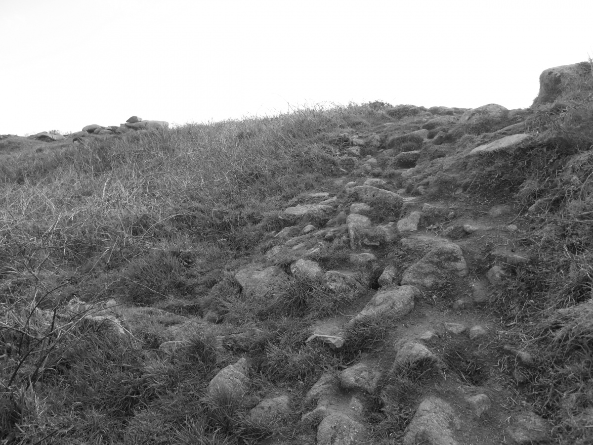 Carn Brea Enclosure