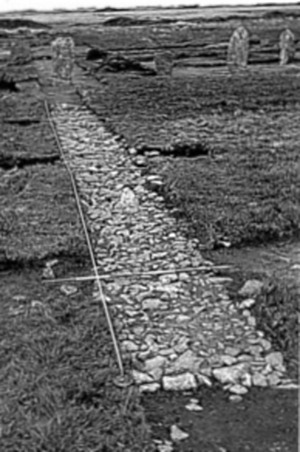 Click for the gallery page to add comments and vote (PID:112547) The Hurlers causeway