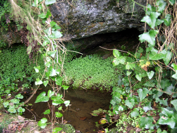 Fairy Well (Carbis Bay)