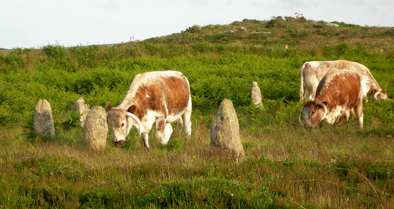 Tregeseal East