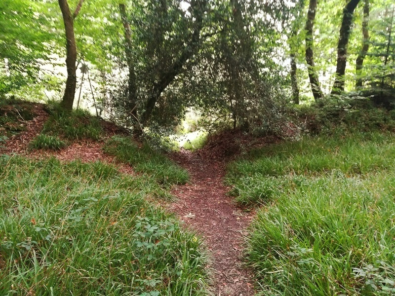Click for the gallery page to add comments and vote (PID:215283) Bishops Wood Fort