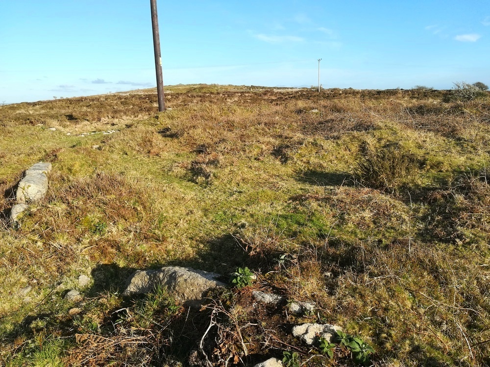 Tonkins Downs