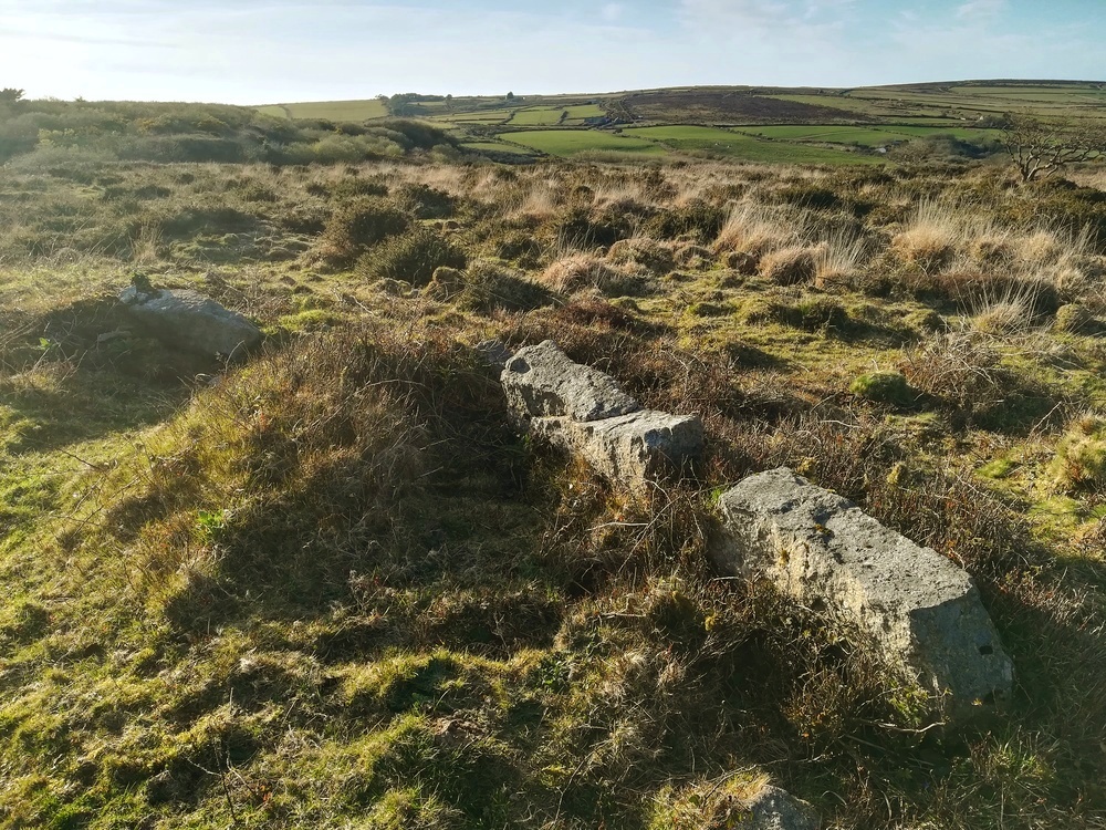 Tonkins Downs