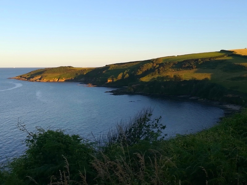 Click for the gallery page to add comments and vote (PID:213892) Rosemullion Head