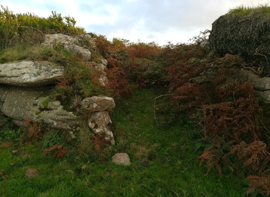 Cuckoo Rock (Cornwall), Cornwall | Megalithic Portal