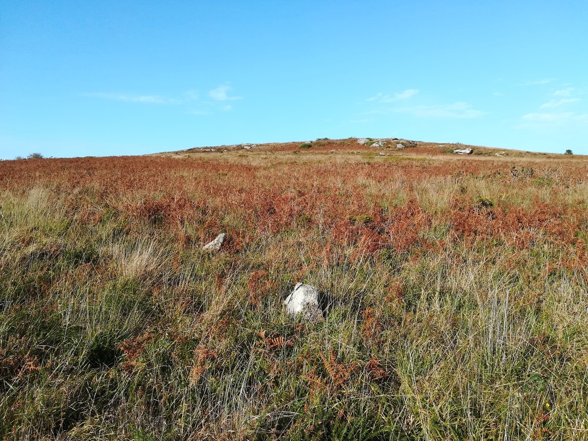 Crowan Ridge, Cornwall | Megalithic Portal