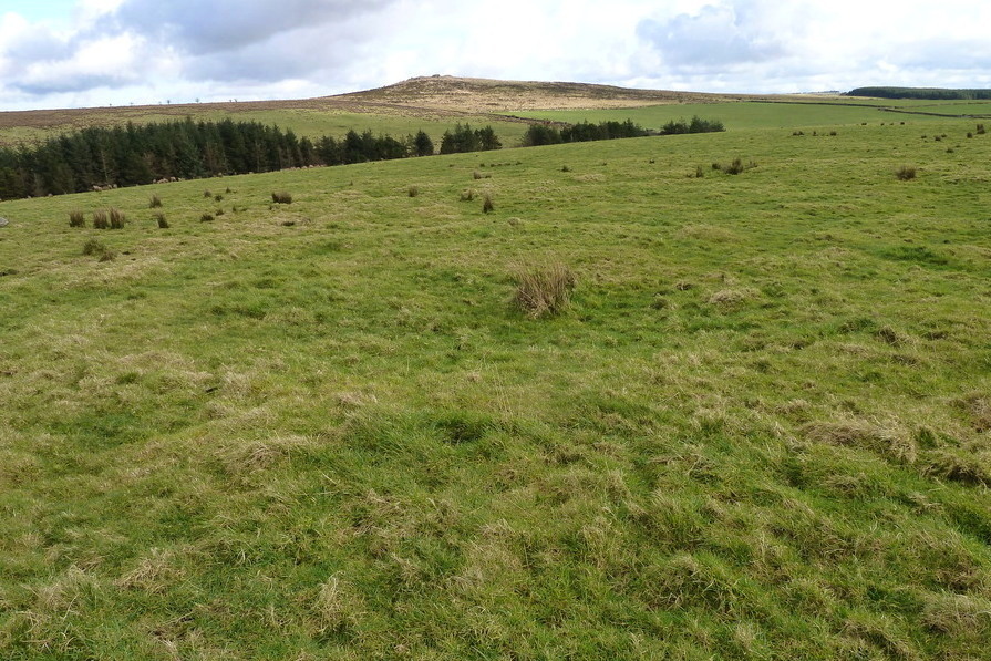Click for the gallery page to add comments and vote (PID:164640) Carbilly Cairn