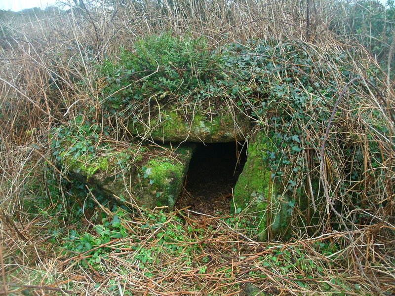 Click for the gallery page to add comments and vote (PID:116288) Kerrow chambered cairn