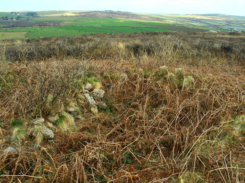 Mulfra Hill Tumuli