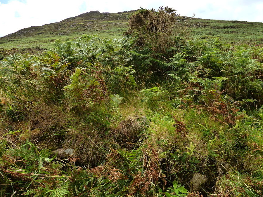 Click for the gallery page to add comments and vote (PID:174654) Bosigran Kerb Cairn