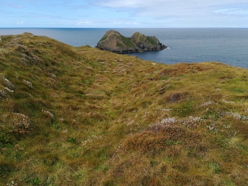 Click for full size image of Penhale Point Cliff Castle (PID:216064) Penhale Point Cliff Castle