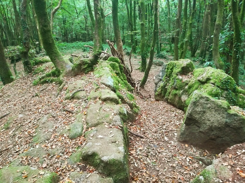 Click for the gallery page to add comments and vote (PID:218167) The Rocks