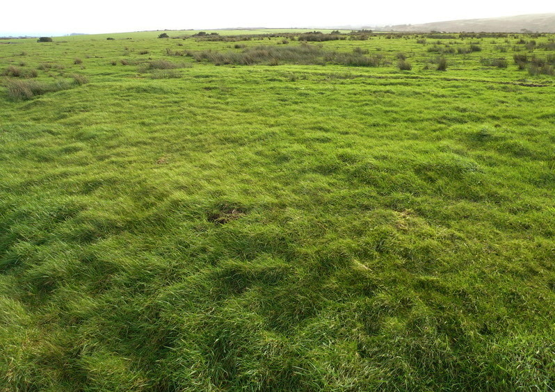 Click for the gallery page to add comments and vote (PID:144920) Huel Creek barrow
