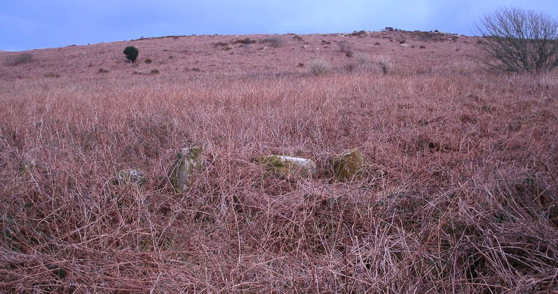 Click for the gallery page to add comments and vote (PID:115281) Sancreed Beacon homestead