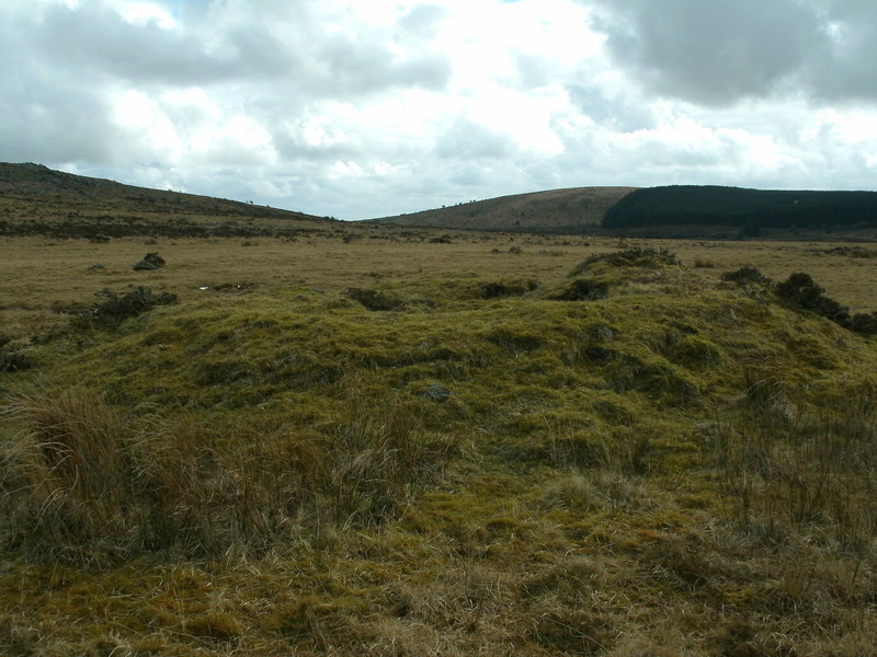 Twelve men's moor cairn and cist