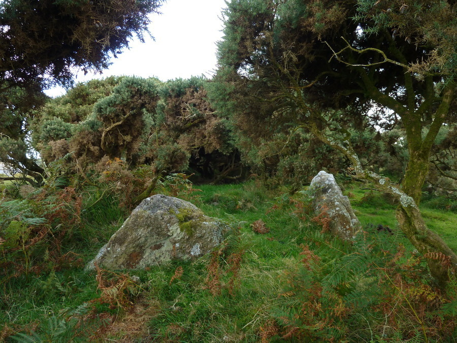 Crownhill Down Cairn Circle